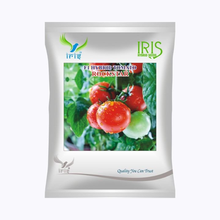 Iris Rockstar F1 Hybrid Tomato Seeds