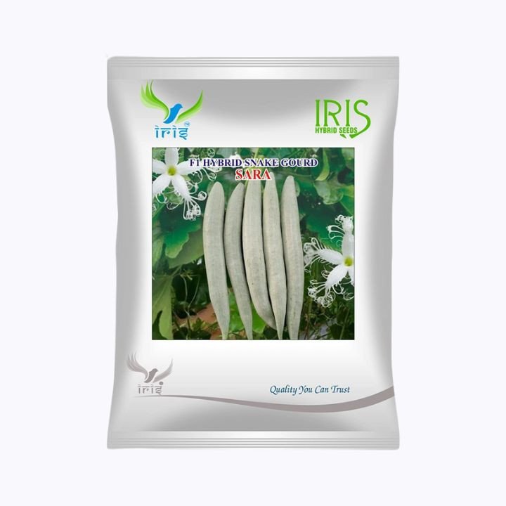 Iris Sara F1 Hybrid Snake Gourd Seeds
