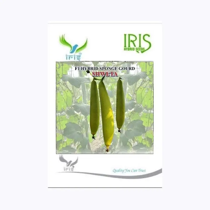 Iris Shweta Sponge Gourd Seeds