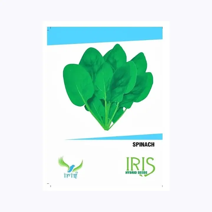Iris Spinach (Palak) Saag Seeds – main view