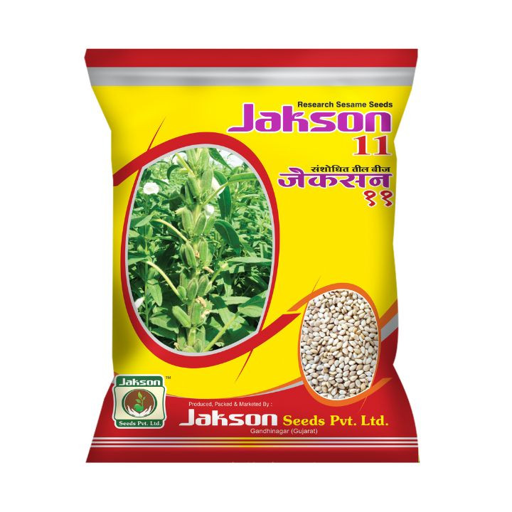Jakson 11 Research Sesame Seeds – High Yield Til Crop Seeds
