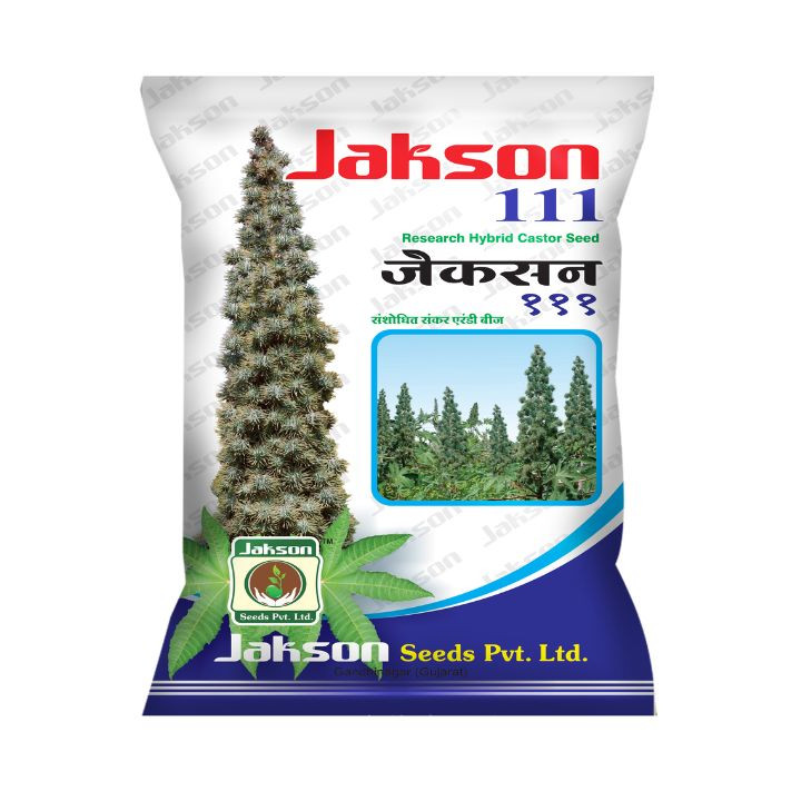 Jakson 111 Research Hybrid Castor Seeds – High Yield Arandi Seeds