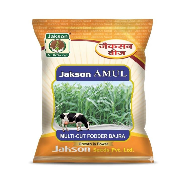 Jakson AMUL Multi-Cut Fodder Bajra Seeds