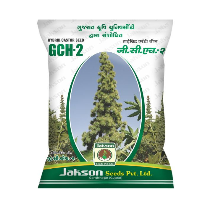Jakson Hybrid Castor GCH-2 Truthful Seeds