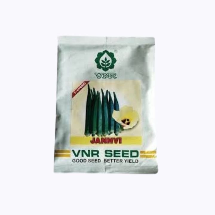 VNR Janhvi F1 Hybrid Bhindi Seeds