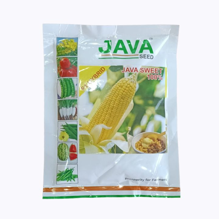 Java Sweet F1 Hybrid Sweet Corn Seeds – main view