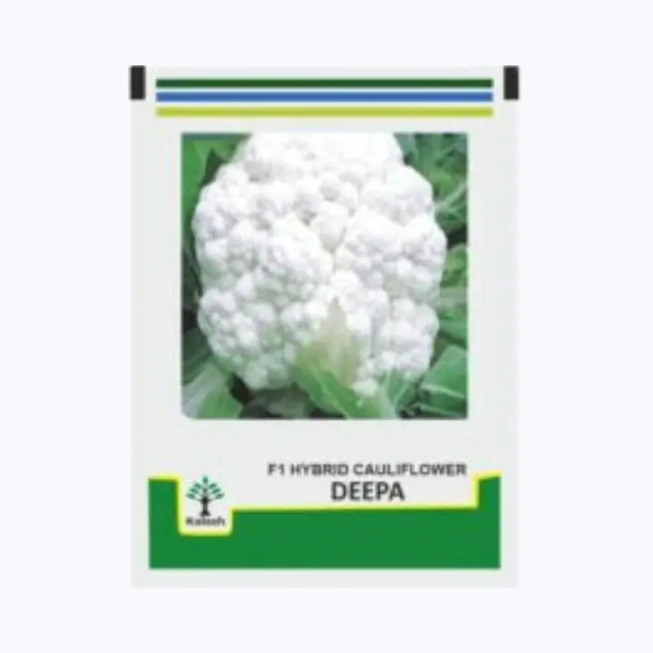 Kalash Deepa Cauliflower Seeds – main view