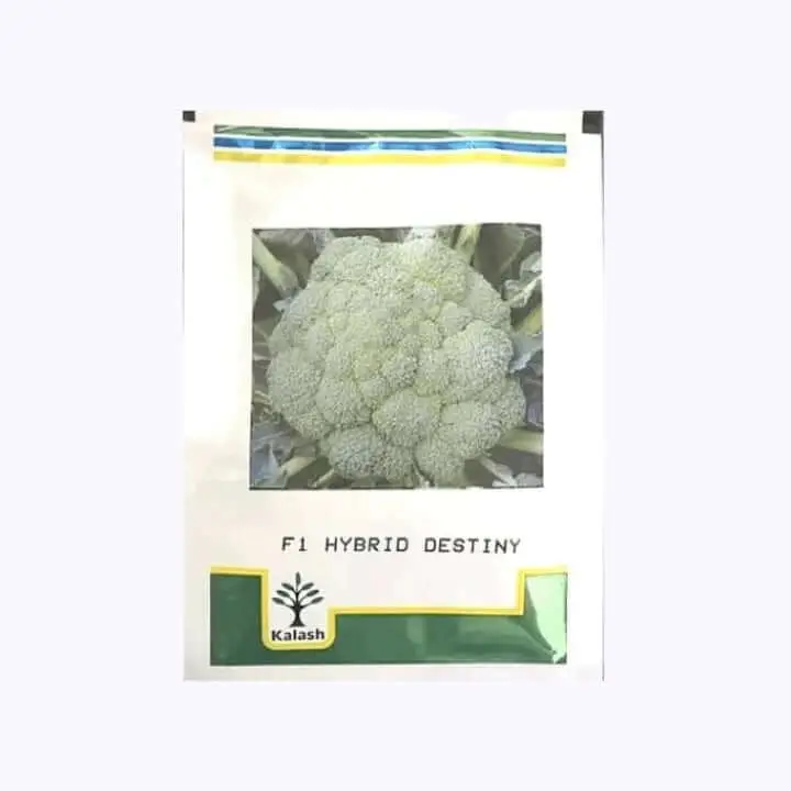 Kalash F1 Hybrid Destiny Broccoli Seeds – main view