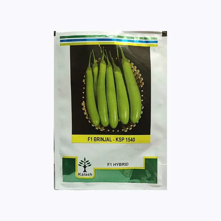 Kalash KPS 1540 Brinjal Seeds – main view