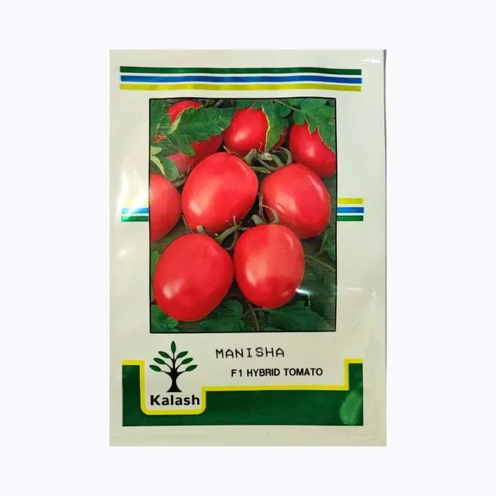 Kalash Manisha Tomato Seeds – main view