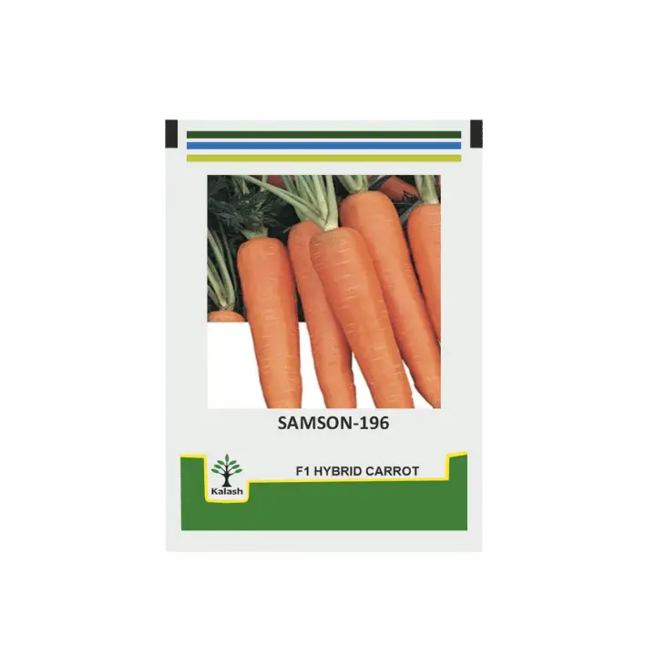 Kalash Orange Carrot Samson-196 Seeds – main view