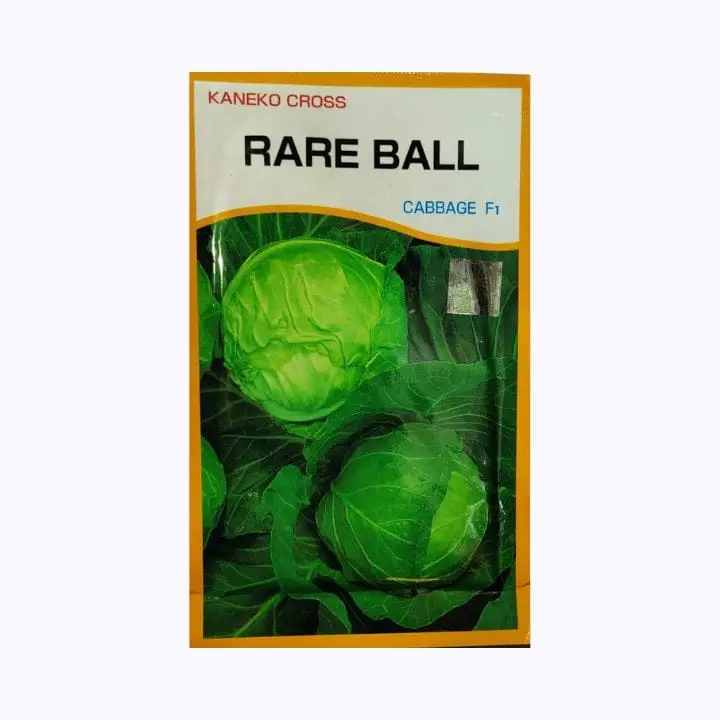 Kaneko Cross Rare Ball Cabbage Seeds - 10 gm – main view
