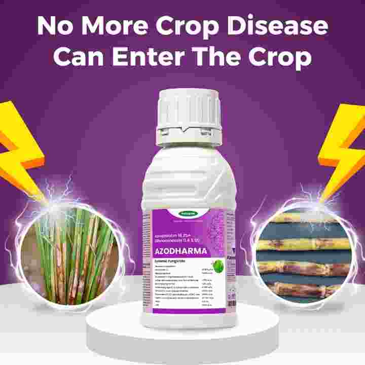 Katyayani Azodharma | Azoxystrobin 18.2% + Difenoconazole 11.4% SC Fungicide – thumb