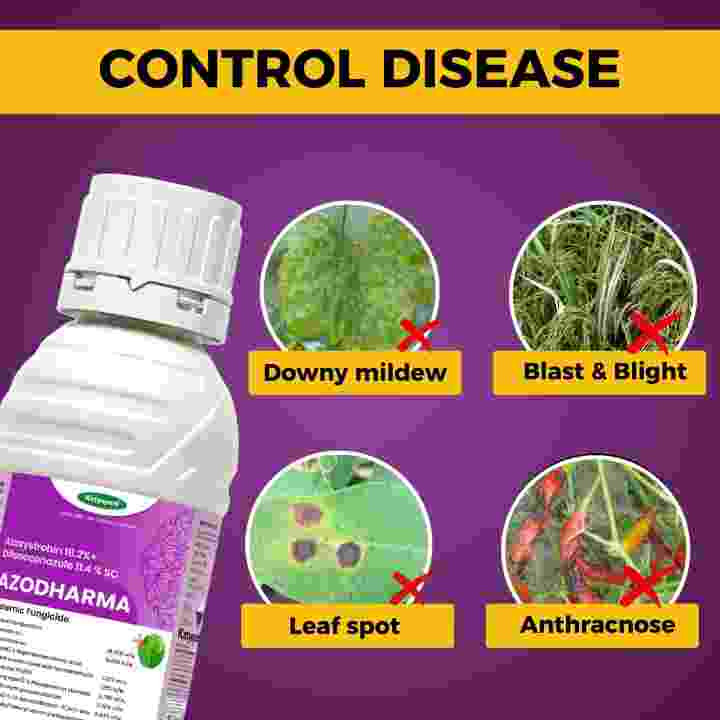Katyayani Azodharma | Azoxystrobin 18.2% + Difenoconazole 11.4% SC Fungicide – thumb