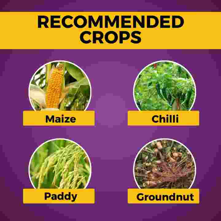 Katyayani Azodharma | Azoxystrobin 18.2% + Difenoconazole 11.4% SC Fungicide – thumb