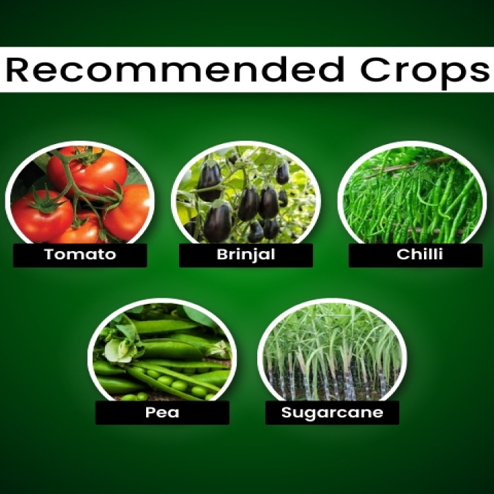 Katyayani Metarhizium Anisopliae Bio Insecticide Liquid – thumb