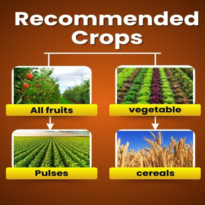 Katyayani Nutritious Plant Growth Regulator – thumb