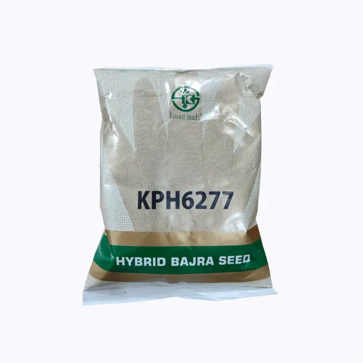 Kaveri Hybrid KPH6277 Bajra Seeds