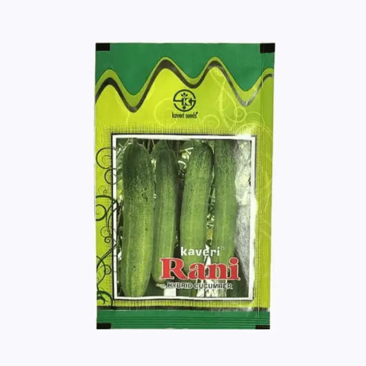 Kaveri Rani F1 Hybrid Cucumber Seeds – main view