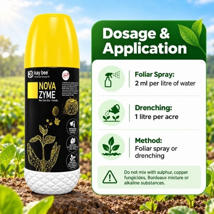 Kay Bee Nova Zyme – Seaweed and Moringa Extract Biostimulant – thumb
