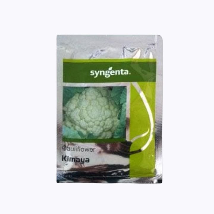 Syngenta Kimaya Cauliflower Seeds – main view