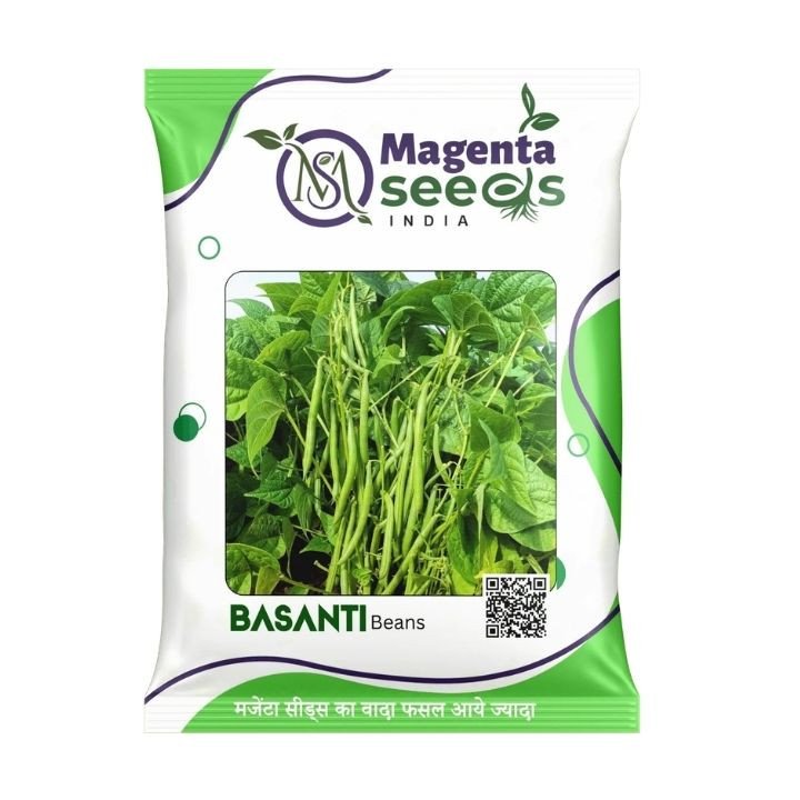 Magenta Seeds Basanti Garden Bean Seeds