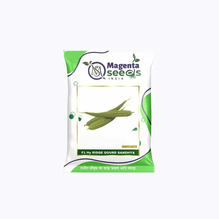 Magenta Sandhya Hybrid Ridge Gourd Seeds
