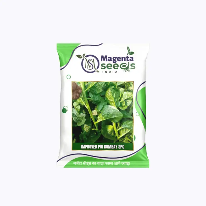 Magenta Seeds Improved Pui Bombay Spc Saag Seeds