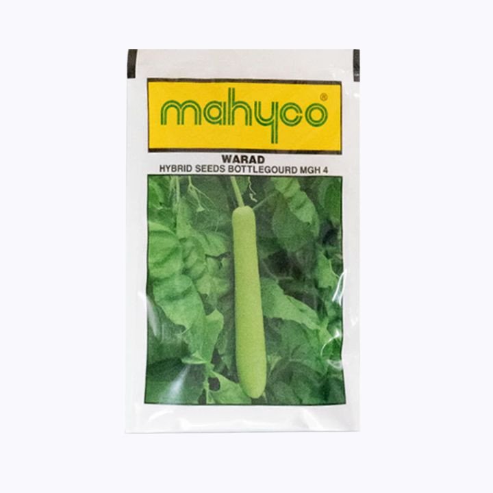 Mahy Mgh-4 Warad Bottlegourd Seeds