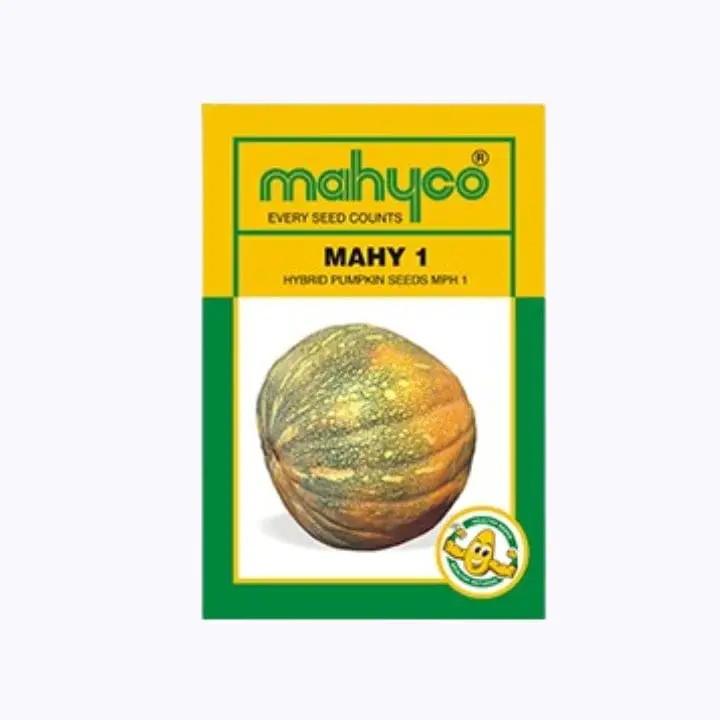 Mahyco Mahy 1 Pumpkin Seeds – main view