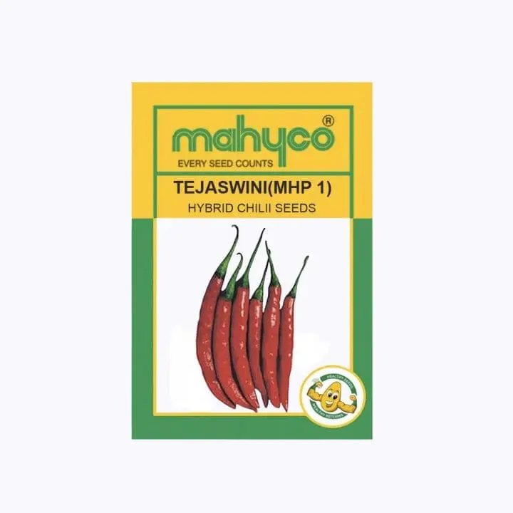 Mahyco Tejaswini (MHP-1) Chilli Seeds – main view