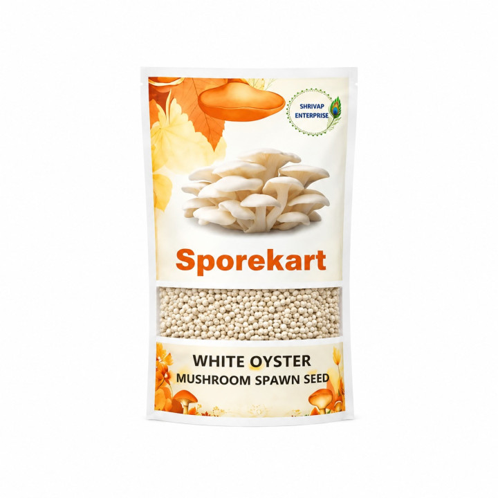 SporeKart White Oyster Mushroom Spawn Seed – main view