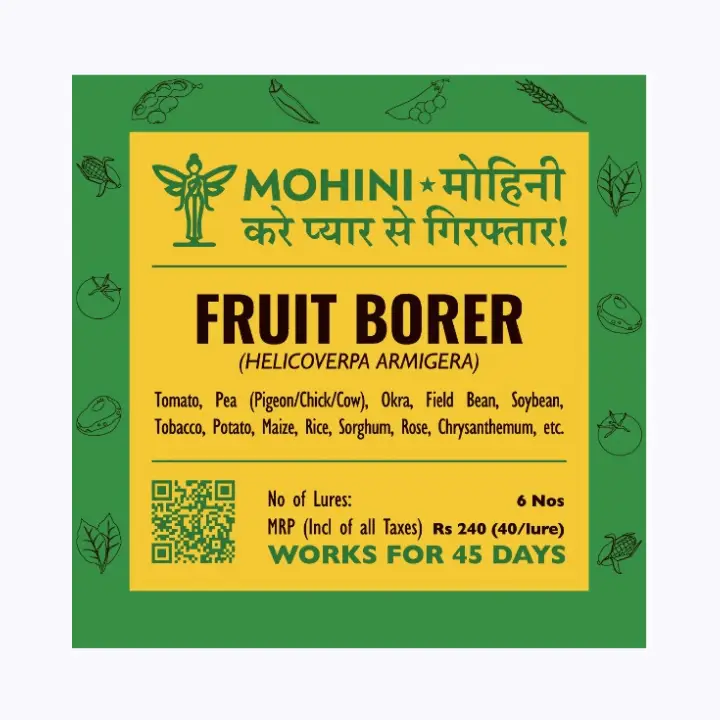 Mohini – Fruit borer (Helicoverpa armigera)