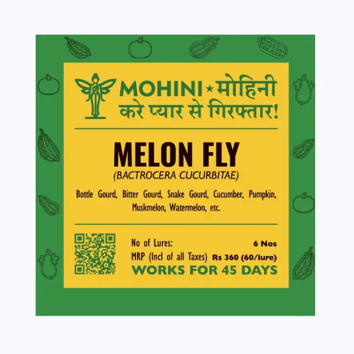 Mohini – Melon Fly Lure (Bactrocera cucurbitae)
