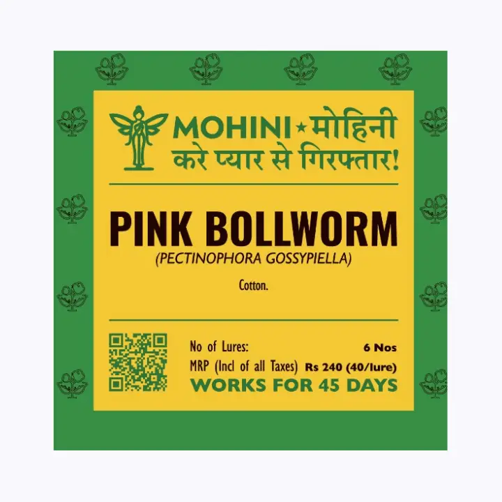 Mohini Pink Bollworm Pectinophora gossypiella Lure for Cotton