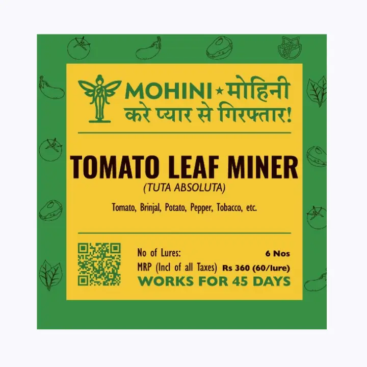 Mohini – Tomato Leaf Miner Lure for (Tuta absoluta)