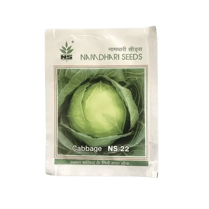 Namdhari NS-22 Cabbage Seeds - 10gm – main view