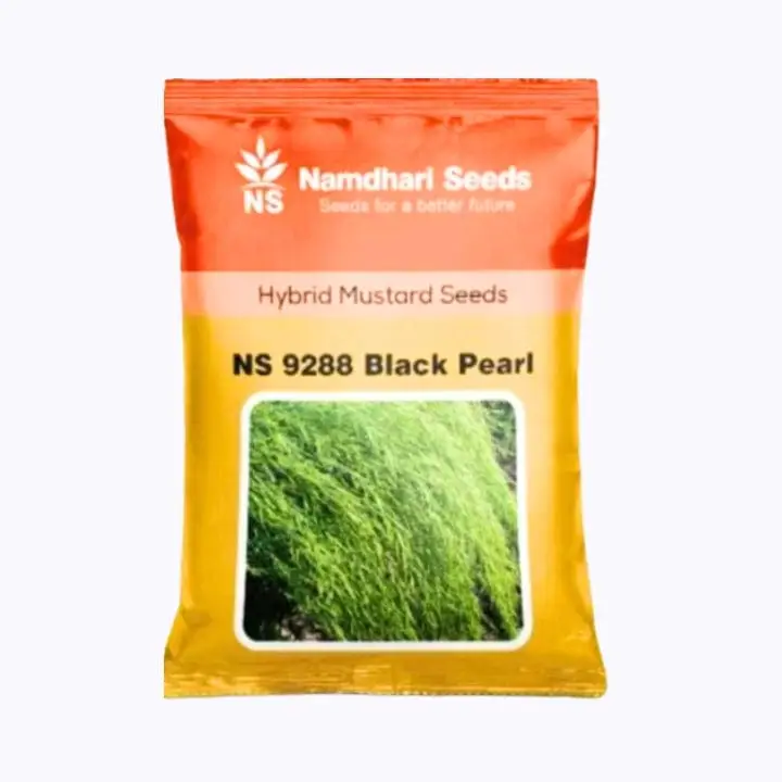 Namdhari NS 9288 Black Pearl Mustard Seeds – main view