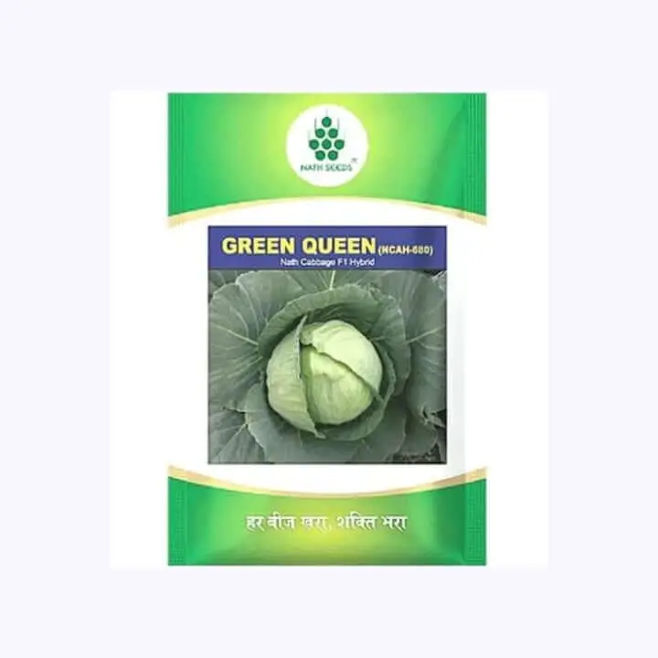 Nath Green Queen (NCAH-680) Cabbage Seeds – main view