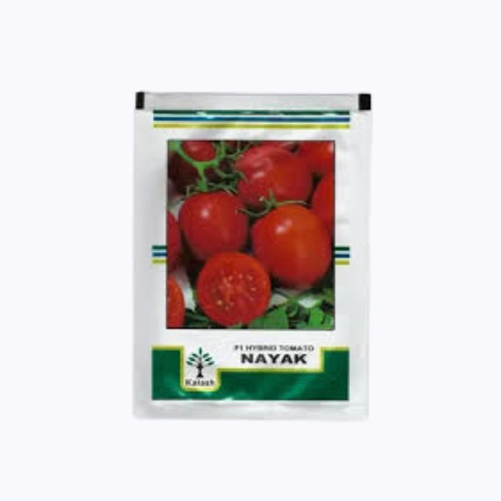 Kalash Nayak F1 Hybrid Tomato Seeds