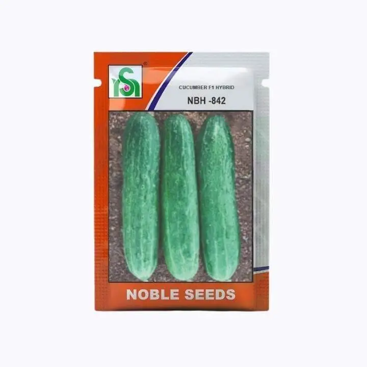 Noble NBH-842 Cucumber Seeds – main view