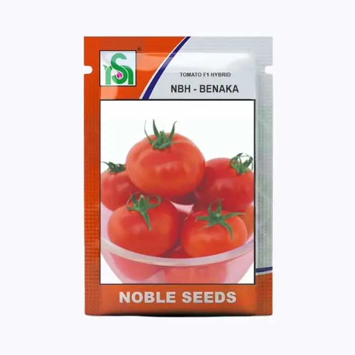 Noble NBH-Benaka Tomato Seeds – main view