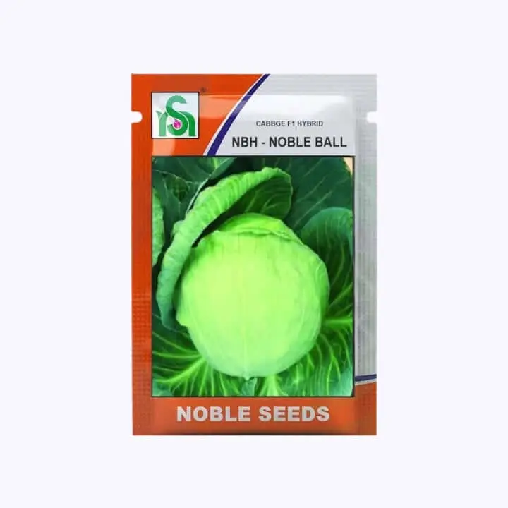 Noble NBH-Noble Ball Cabbage Seeds – main view