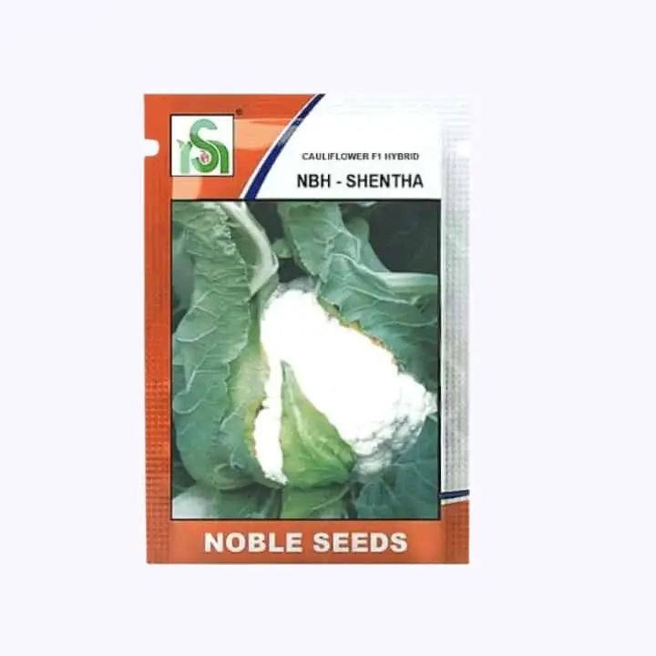 Noble NBH-Shentha Cauliflower Seeds – main view