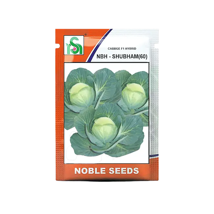 Noble NBH Subham-60 Cabbage Seeds – main view