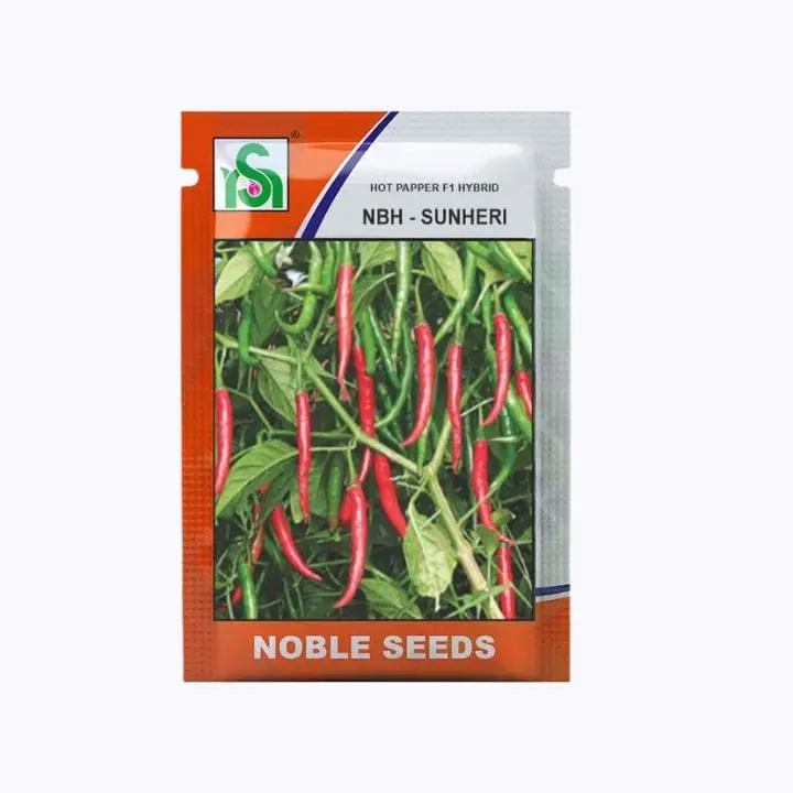 Noble NBH-Sunheri Chilli Seeds – main view