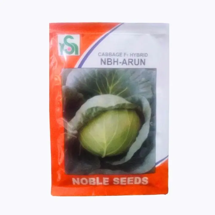 Noble Seeds Cabbage NBH Arun Seeds