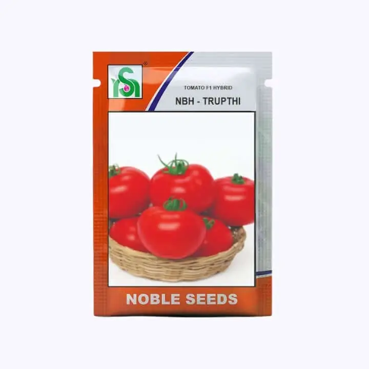 Noble Trupthi F1 Hybrid Tomato Seeds - 10g – main view