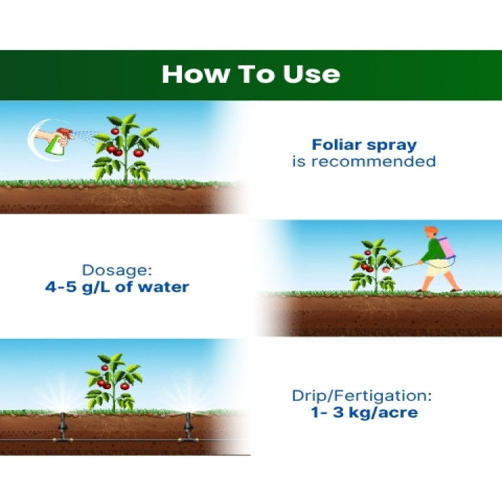 Katyayani NPK 19 19 19 100% Water Soluble Fertilizer – thumb