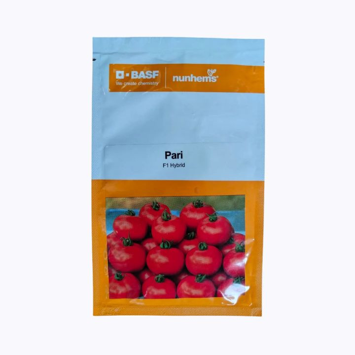 Nunhems Pari F1 Hybrid Tomato Seeds – main view